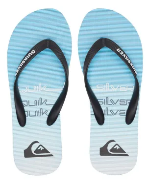 Quiksilver Molokai Omni Thong